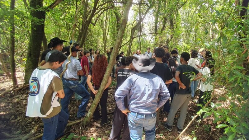 Unesp Botucatu promove curso de “Guias da Natureza em Emergência Climática”