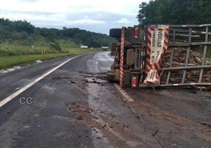 Carreta com madeira tomba na Castello Branco