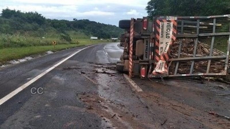 Carreta com madeira tomba na Castello Branco