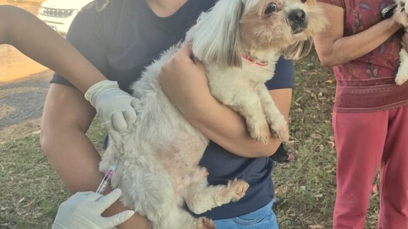 Avaré promoverá vacinação contra raiva dia 25