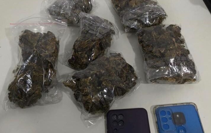 Traficante preso com maconha enquanto desembarcava de ônibus