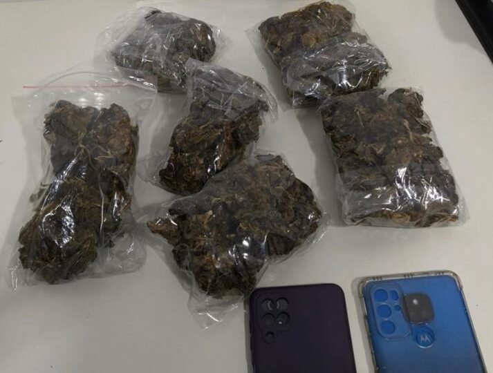 Traficante preso com maconha enquanto desembarcava de ônibus