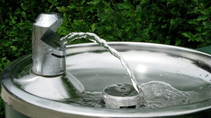 Falta de higiene pode contaminar água de bebedouros