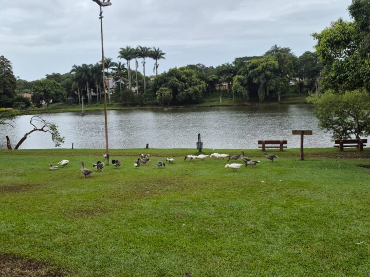 Horto Florestal de Avaré recebe serviços de conservação