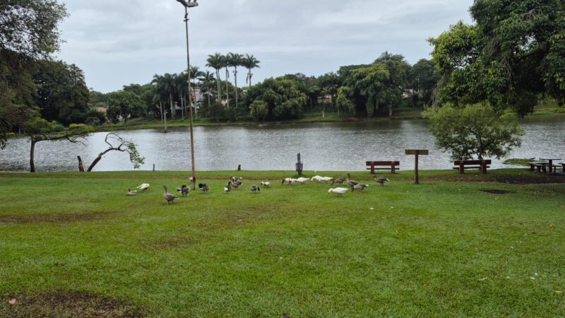 Horto Florestal de Avaré recebe serviços de conservação