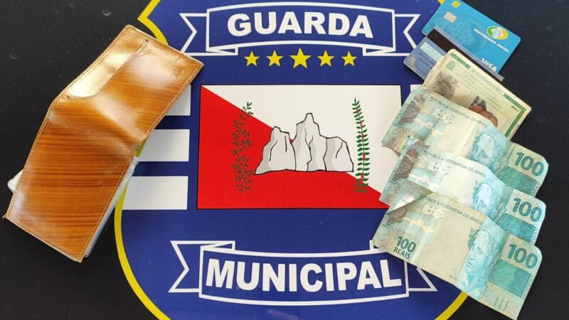 Ladrão agride e rouba idoso, mas acaba detido pela GCM