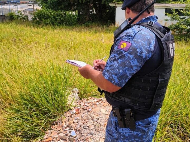 Câmeras ajudam a identificar autor de descarte irregular no Parque Marajoara