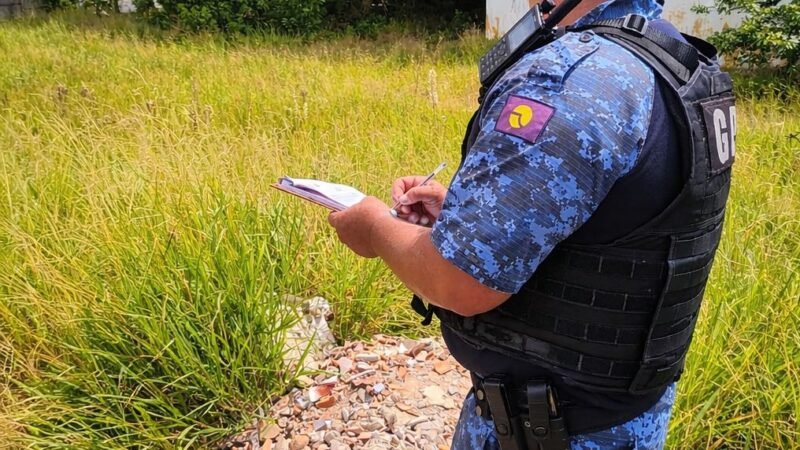 Câmeras ajudam a identificar autor de descarte irregular no Parque Marajoara