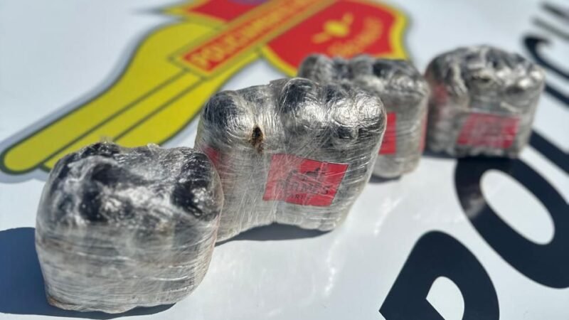 Polícia apreende droga sintética com passageiro de ônibus interestadual
