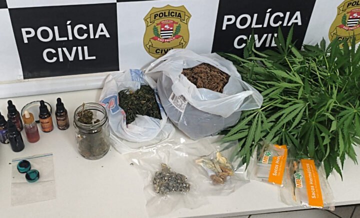 Homem preso por manter plantação de cannabis e guardar drogas em casa