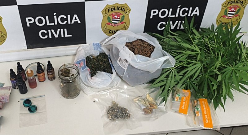 Homem preso por manter plantação de cannabis e guardar drogas em casa
