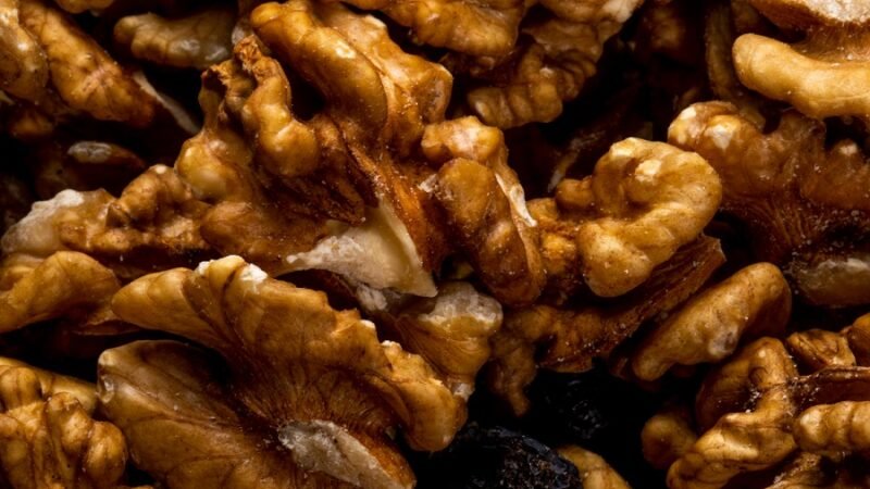 Consumo de noz-pecã pode fazer bem à saúde cardiovascular