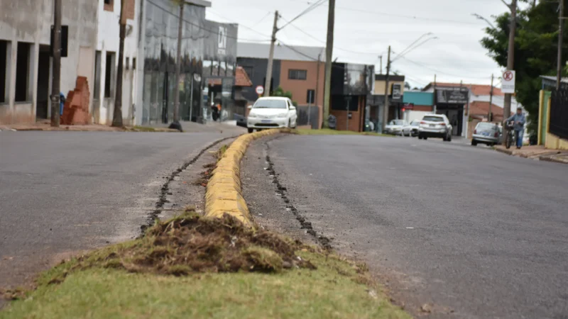 Avenida Vital Brasil terá canteiros centrais revitalizados
