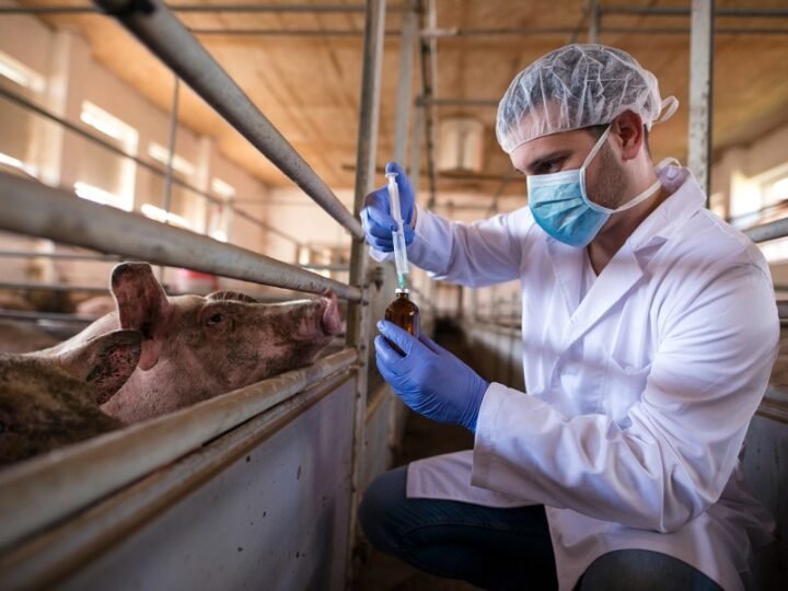 Zootecnistas podem ser incluídos no piso salarial de engenheiros e veterinários