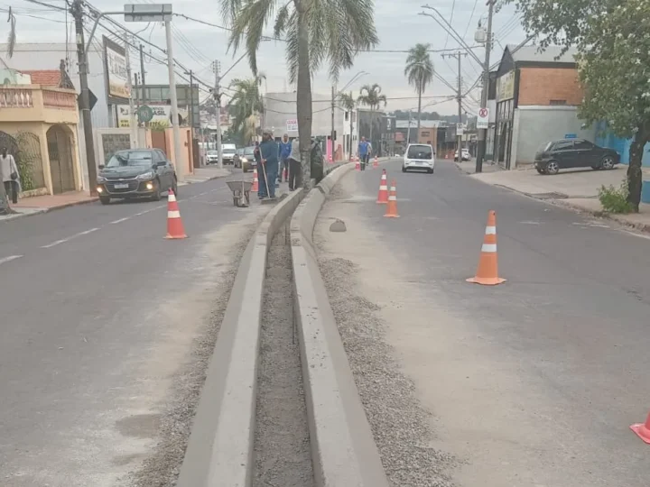 Vital Brasil continua recebendo novos canteiros centrais