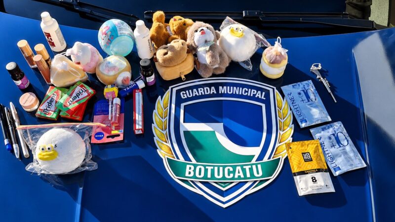 GCM de Botucatu apreende adolescentes autores de furtos a lojas