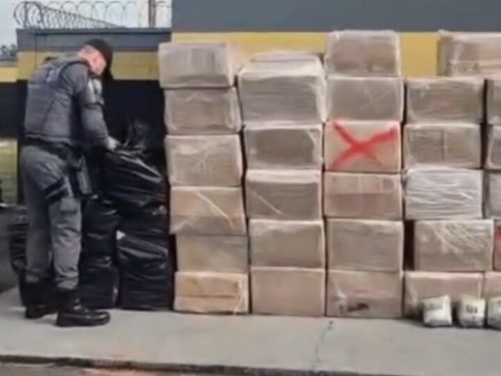 Polícia apreende 3 toneladas de drogas escondidas em carga de madeira