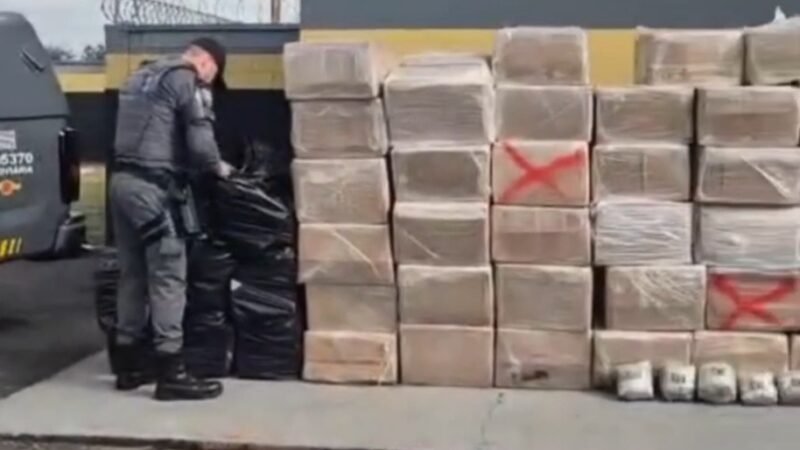 Polícia apreende 3 toneladas de drogas escondidas em carga de madeira