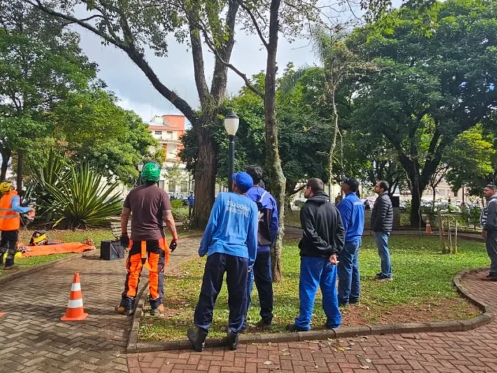 Servidores municipais recebem capacitação para análise de risco de árvores urbanas