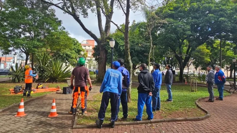 Servidores municipais recebem capacitação para análise de risco de árvores urbanas