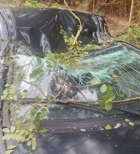 Idoso morre em queda de árvore sobre carro