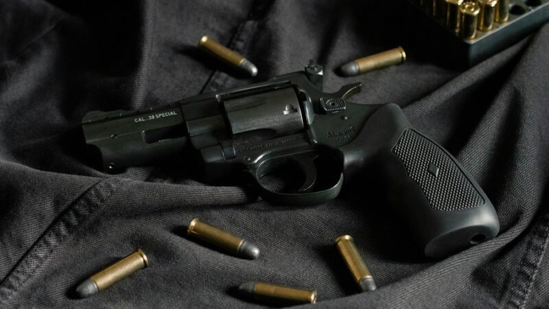 Projeto proíbe acesso a armas de fogo para quem responde por medida protetiva de urgência