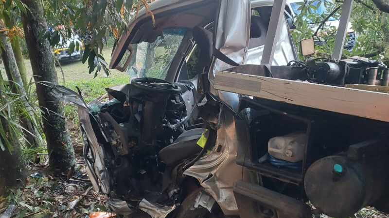Caminhão bate contra árvore na Rondon e motorista fica preso às ferragens