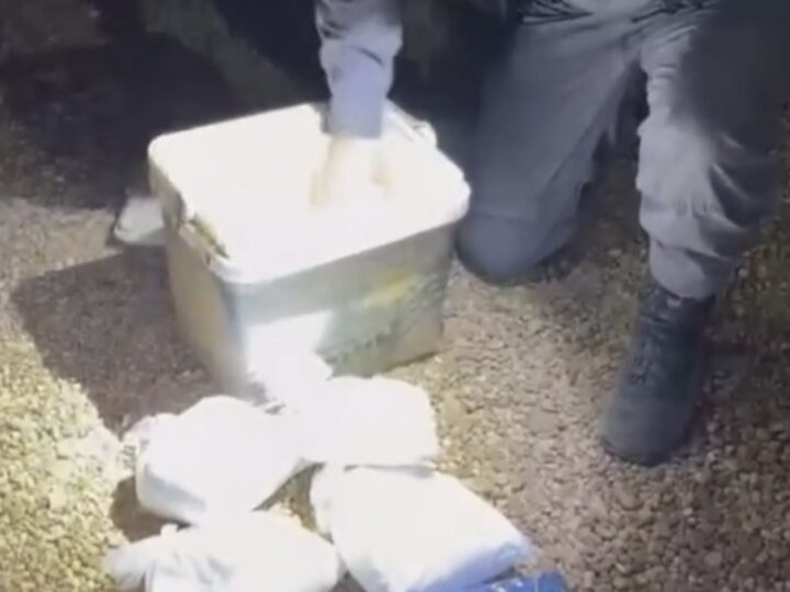 Polícia apreende drogas e medicamentos para disfunção erétil escondidas em caixa térmica