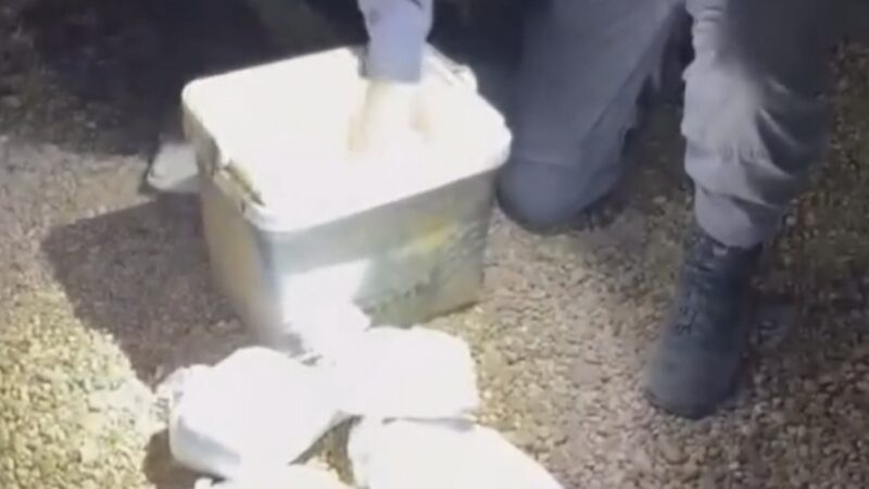 Polícia apreende drogas e medicamentos para disfunção erétil escondidas em caixa térmica