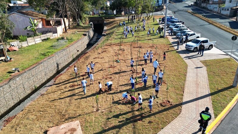 Botucatu inicia projeto de formação de microflorestas e pomares urbanos