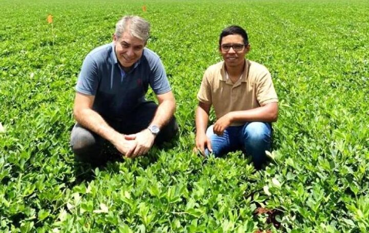 Tese da Unesp Botucatu recebe Prêmio CAPES na área de Ciências Agrárias