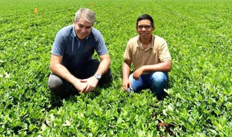 Tese da Unesp Botucatu recebe Prêmio CAPES na área de Ciências Agrárias