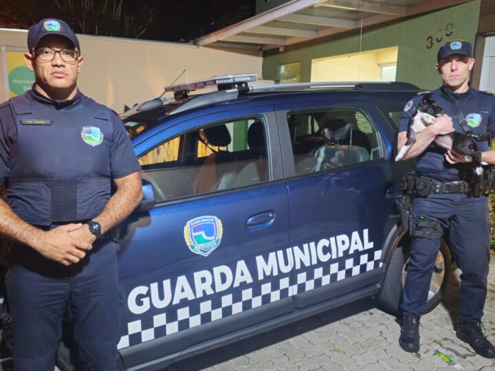 Mulher presa por arremessar filhote de cachorro pela sacada de apartamento