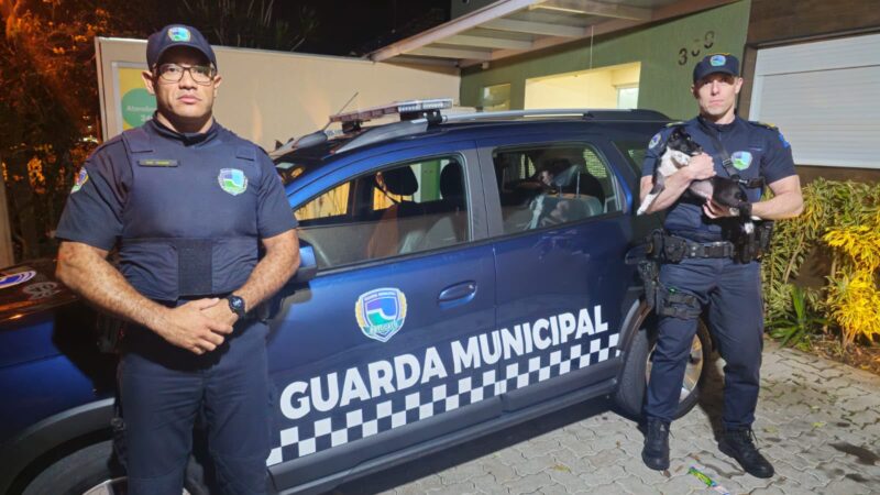 Mulher presa por arremessar filhote de cachorro pela sacada de apartamento