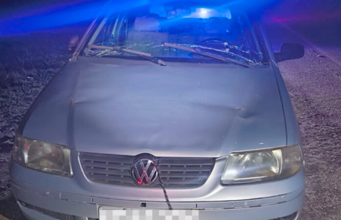 Motorista embriagado preso após tentar fugir da PM em rodovia