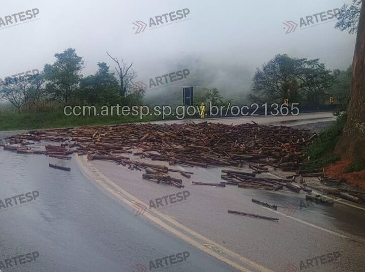 Carga de madeira cai de caminhão e interdita pista da Rondon
