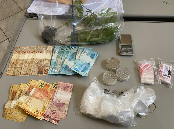 Polícia apreende plantas de maconha, cigarros e dinheiro