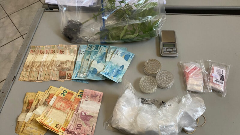 Polícia apreende plantas de maconha, cigarros e dinheiro