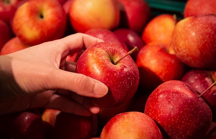 Comer maçã pode beneficiar saúde cardiometabólica e intestinal